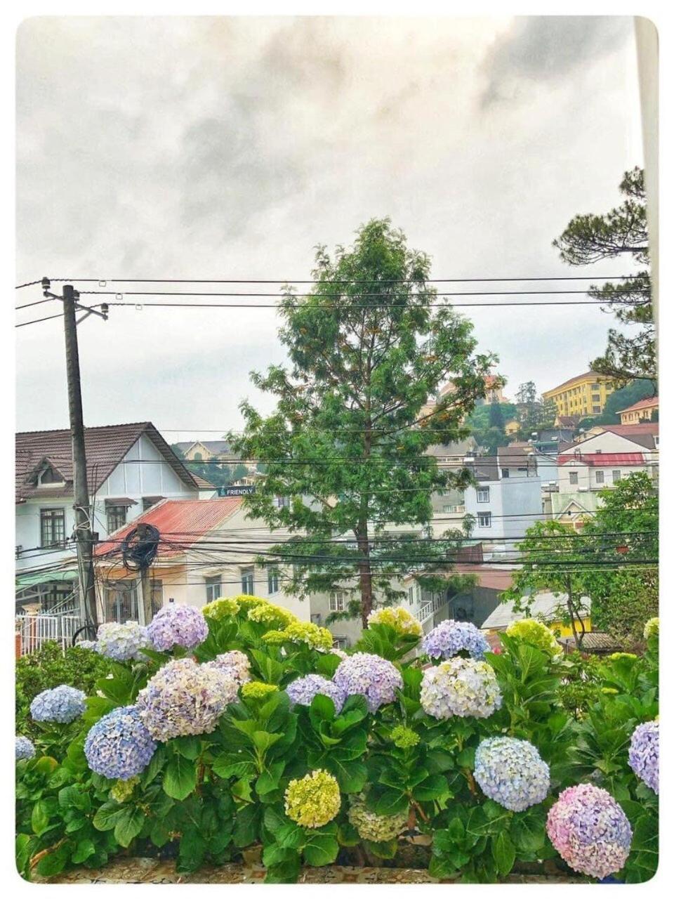 Biet Thu Trang Da Lat别墅 外观 照片
